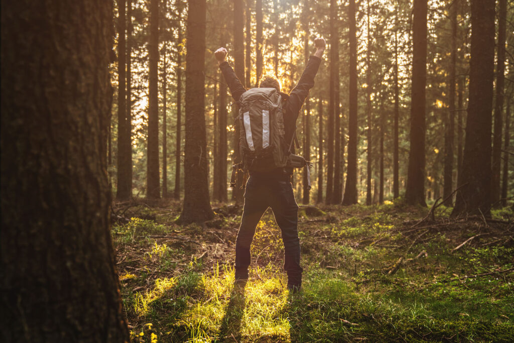 Young man in silent forrest with sunlight