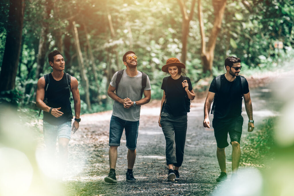 Group of Friends Walking Together into the Forest for Adventure