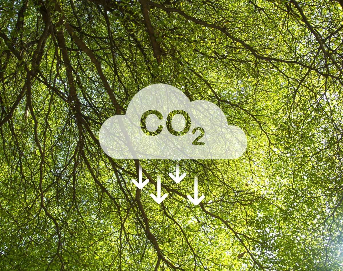 resultence decarbonation